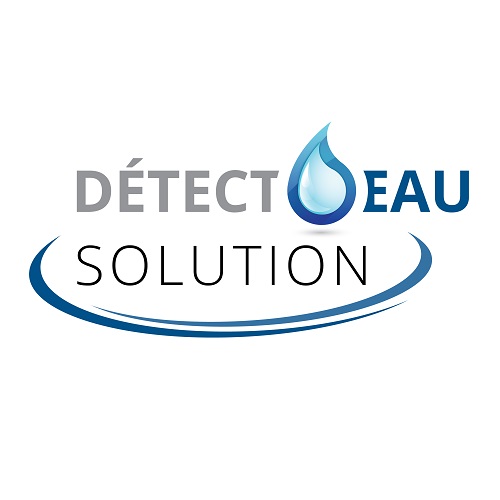 Logo Detecteau Solution