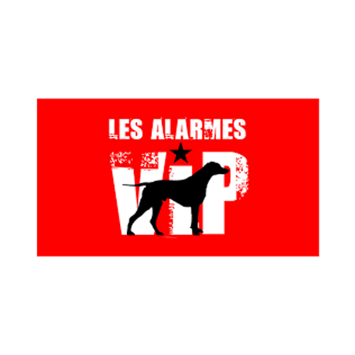 Logo-Les-Alarmes-VIP